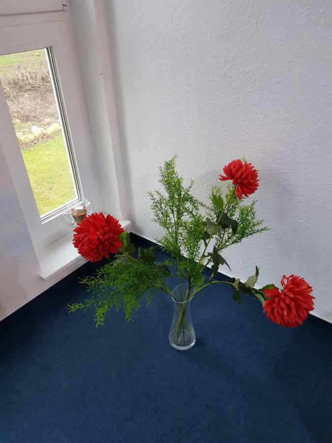 Da Ferienwohnungen Bargischow Kültér fotó